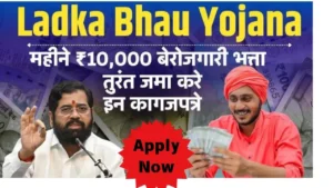 Ladka Bhau Yojana Online Apply